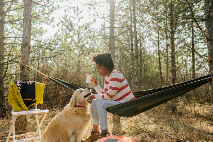 Must-Have Pet Accessories Needed for Camping Trips