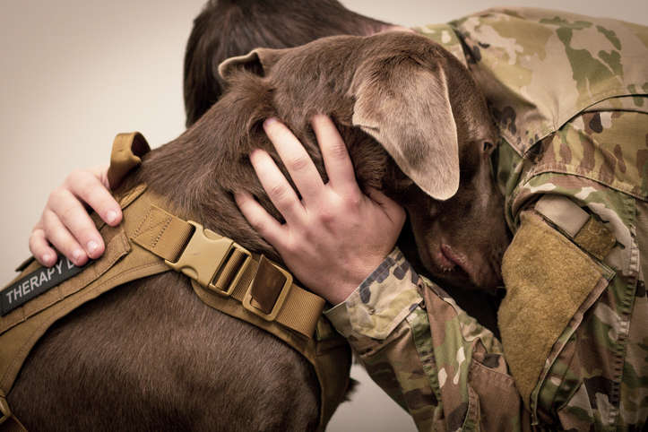 The Science of Pet Bonding: Understanding the Human-Animal Connection